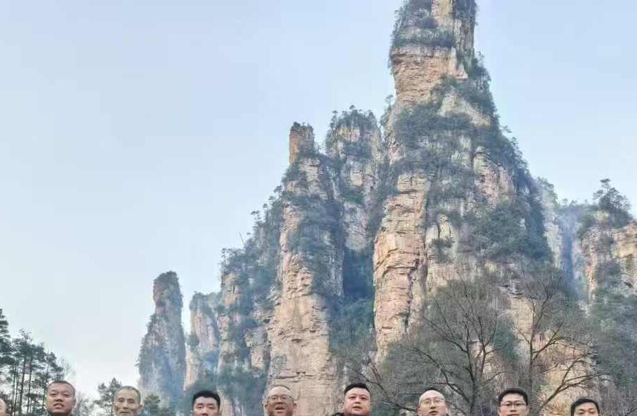 Sandstone pillar formations rising above the forest at Zhangjiajie